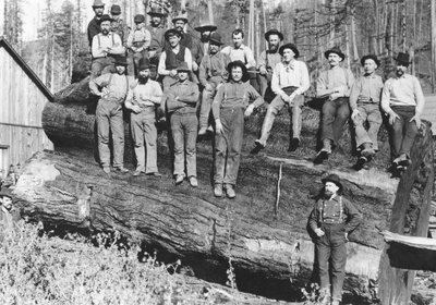 Woodcutters in California, 1891 by American Photographer